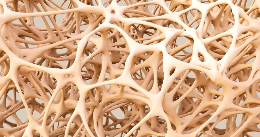 Vorsorge Knochendichte